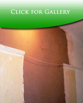 Decorator in Ewell